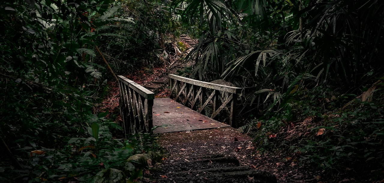 A Journey Through the Traditional Fiestas of Latin America